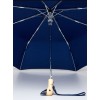 Parapluie Bleu