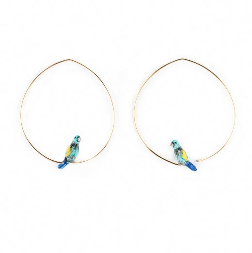 Créoles Oiseau Bleu Tangara