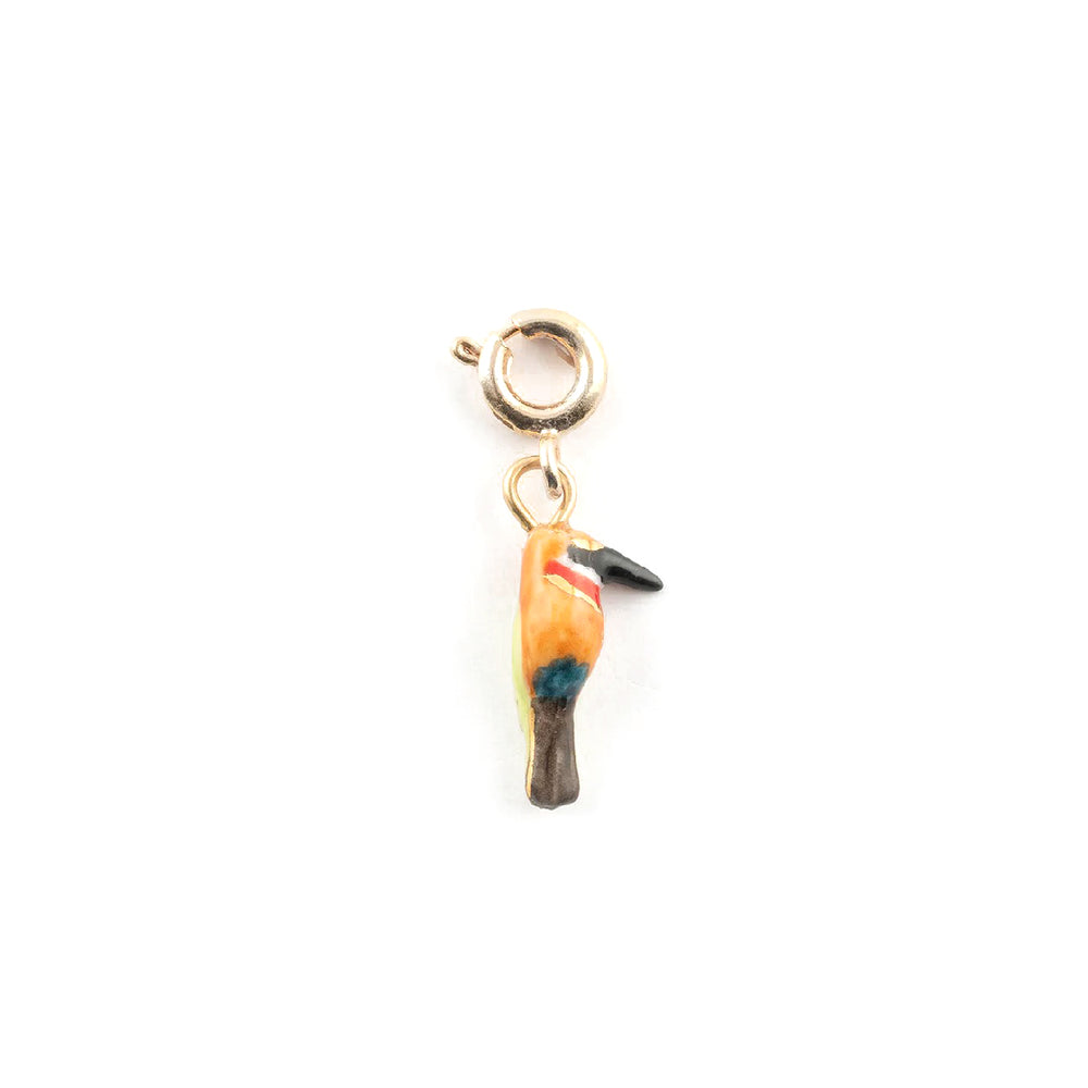 Charm's Oiseau Guêpier