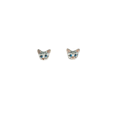 Puces Chat