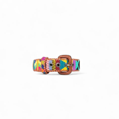 Collier de Chien Rainbow