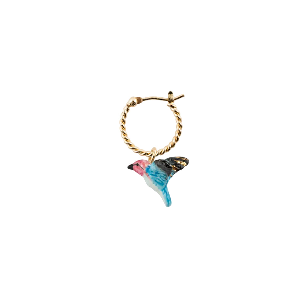 Mini créole colibri - Vendue à l'unité