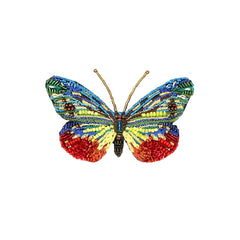 Broche Papillon Cepora